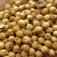 17. Amomum Cardamomum Fructus
